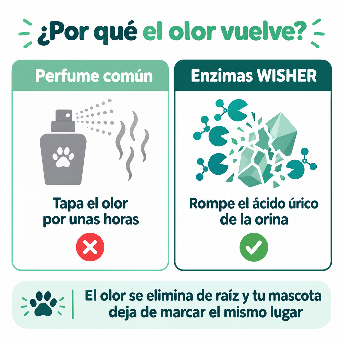 Por qué el olor vuelve: perfume vs enzimas