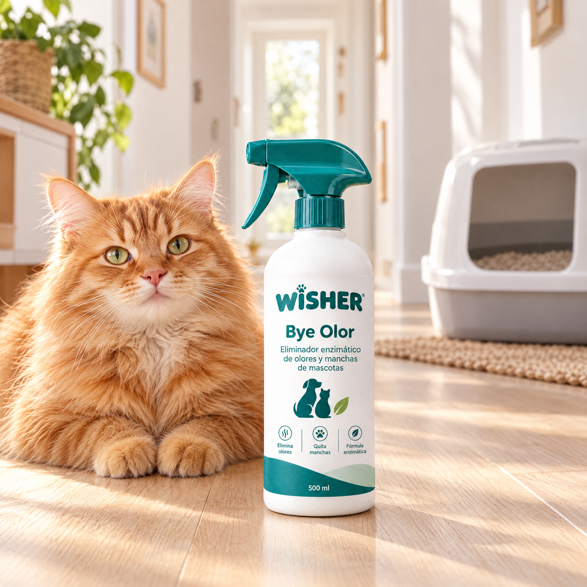 Wisher en casa con gatos